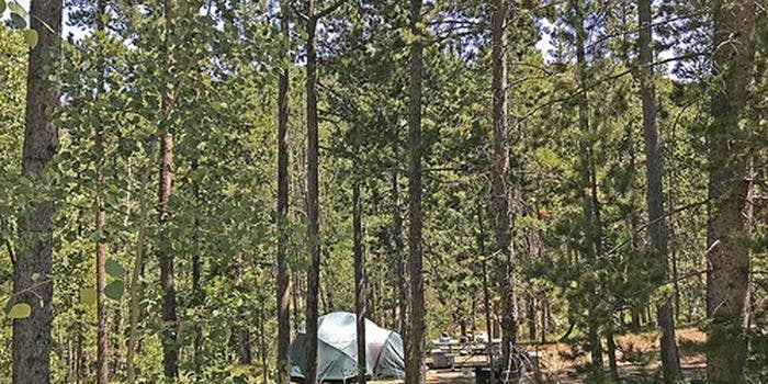 Camper submitted image from Cottonwood Campground Wyoming
