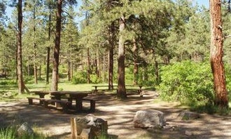 Camping near Durango North-Riverside KOA: Chris Park Group Campground, Cascade, Colorado