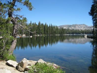 Camper submitted image from Wrights Lake - 1
