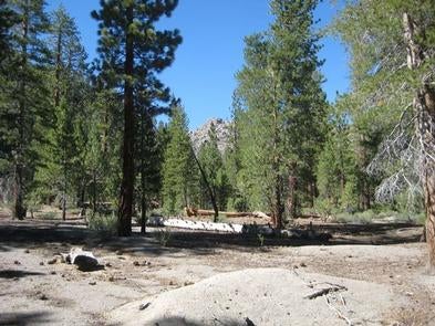 Camper submitted image from Inyo National Forest Obsidian Flat Group Campground - 2