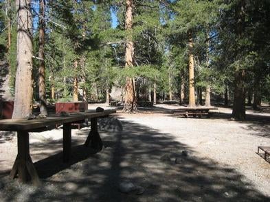 Camper submitted image from Inyo National Forest Obsidian Flat Group Campground - 4