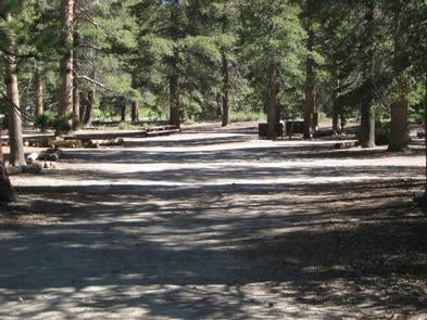 Camper submitted image from Inyo National Forest Obsidian Flat Group Campground - 1