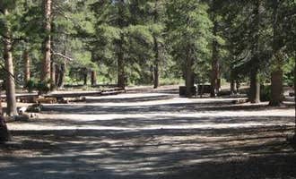 Camping near Agnew Meadows Group Camp: Inyo National Forest Obsidian Flat Group Campground, June Lake, California