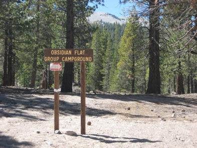 Camper submitted image from Inyo National Forest Obsidian Flat Group Campground - 3