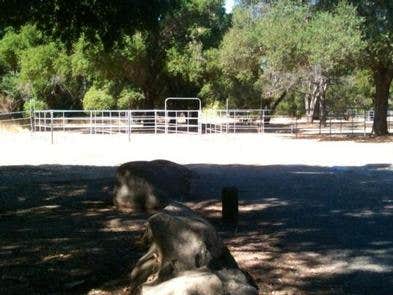 Camper submitted image from Los Padres National Forest Sage Hill Campground - 4