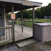 Review photo of Shady Oaks RV Park by Michelle D., September 6, 2016