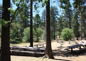 Buttercup Group Campground