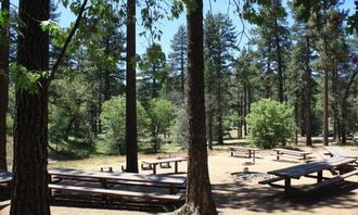 Buttercup Group Campground