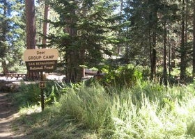 Deer Group Campground