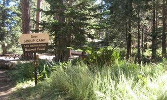 Deer Group Campground