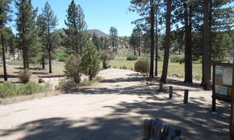 Camping near Green Valley: Ironwood Group Campground, Fawnskin, California