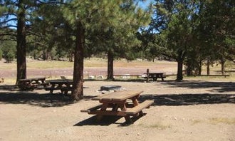 Camping near Coon Creek Cabin Group Campground: Juniper Springs Group Campground, Big Bear City, California