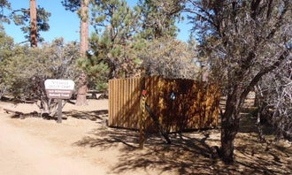 Tanglewood Group Campground