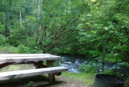 Camper submitted image from Willamette National Forest Roaring River Group Campground - 1