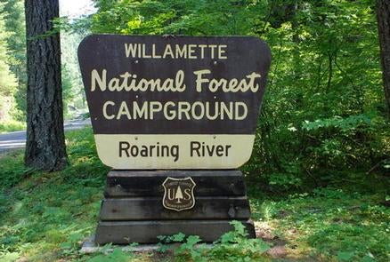 Camper submitted image from Willamette National Forest Roaring River Group Campground - 3