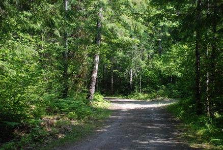 Camper submitted image from Willamette National Forest Roaring River Group Campground - 2