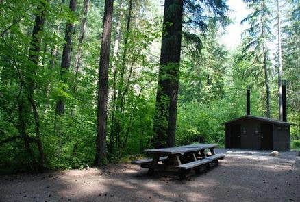 Camper submitted image from Willamette National Forest Roaring River Group Campground - 5