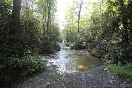 View All