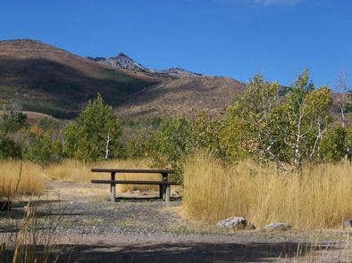 Camper submitted image from Humboldt National Forest Angel Creek Campground - 3