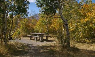 Camping near Welcome Station RV Park: Angel Creek Campground, Wells, Nevada