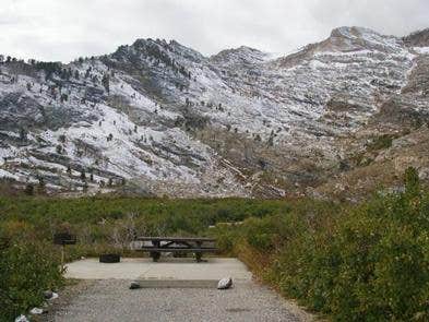 Camper submitted image from Humboldt National Forest Angel Lake Campground - 3