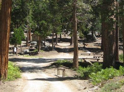 Camper submitted image from Black Mountain Group Campground (san Bernardino) - 5