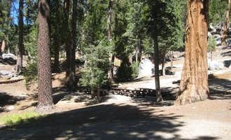 Camping near ∴Primitive Freedom - Palm Springs: Black Mountain Group Campground (san Bernardino), Idyllwild-Pine Cove, California