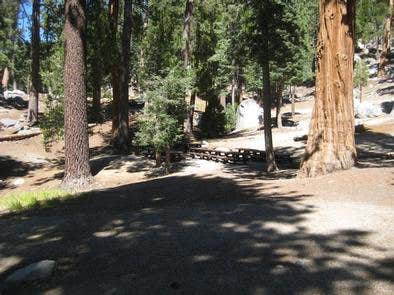 Camper submitted image from Black Mountain Group Campground (san Bernardino) - 1