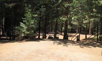 Camping near Uncle Tom's Cabin Campground: Black Oak Group Campground, Pollock Pines, California