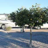 Review photo of Tucson - Lazydays KOA by Rick B., September 6, 2016