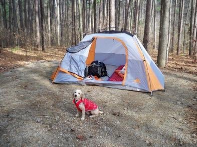 Camper submitted image from Indian-Celina Recreation Area - 1