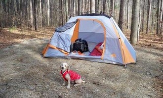 Camping near Patoka Lake Campground: Indian-Celina Recreation Area, Saint Croix, Indiana