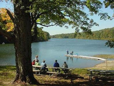 Camper submitted image from Indian-Celina Recreation Area - 4