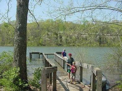 Camper submitted image from Indian-Celina Recreation Area - 2