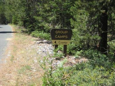 Camper submitted image from Coyote Group Campground - 2
