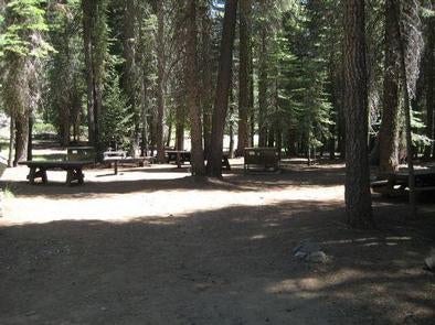 Camper submitted image from Coyote Group Campground - 1