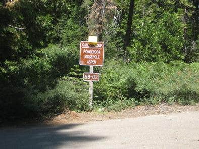 Camper submitted image from Gates Group Campground - 2