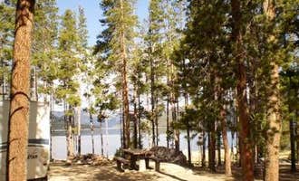 Camping near Halfmoon Packing & Outfitting, LLC: Molly Brown Campground, Leadville, Colorado