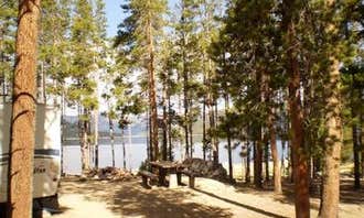 Camping near Belle of Colorado Campground: Molly Brown Campground, Leadville, Colorado