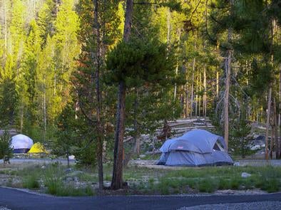 Point Campground



Credit: