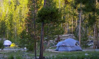 Camping near Glacier View Campground: Point Campground, Stanley, Idaho