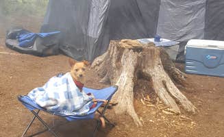 Carole B.'s photo at North Arm Campground near Mt. Hood National Forest