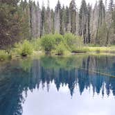 Review photo of North Arm Campground by Carole B., September 6, 2016