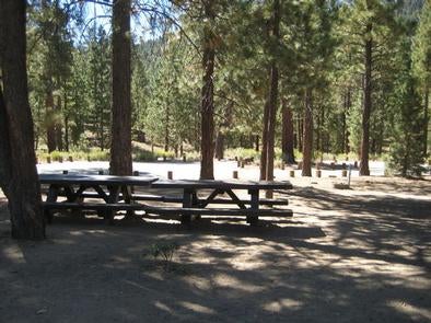 Shade & Picnic Tables of the Skyline Campground



Credit:
