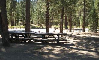 Camping near Dry Lake Backpacking Campground: Skyline, Big Bear City, California