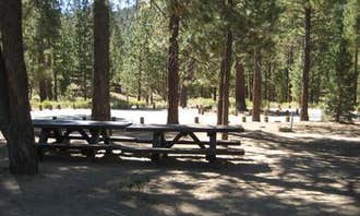 Camping near San Bernardino National Forest Wild Horse Equestrian Campground: Skyline, Big Bear City, California