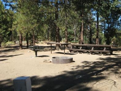 Shade, Picnic Tables, BBQ Grill & Fire Pit of the Skyline Campground



Credit: