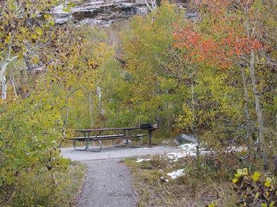 Camper submitted image from Humboldt-Toiyabe National Forest Terraces Picnic and Group Camping Site - 3