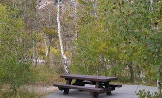 Camping near Iron Horse RV Resort: Humboldt-Toiyabe National Forest Terraces Picnic and Group Camping Site, Lamoille, Nevada