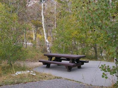 Camper submitted image from Humboldt-Toiyabe National Forest Terraces Picnic and Group Camping Site - 1